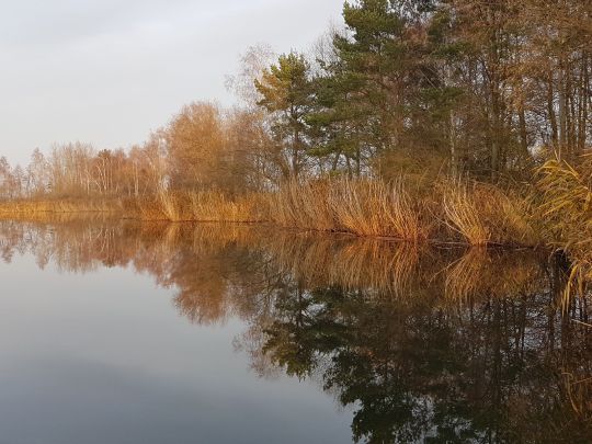 Neuaufschluss Schönewalde angeln