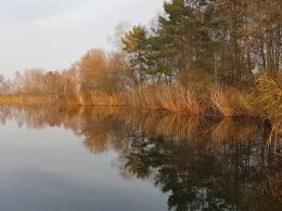 Neuaufschluss Schönewalde-1