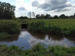 Soeste (Molbergen)-3