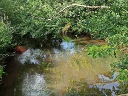 Soeste (Molbergen)-4