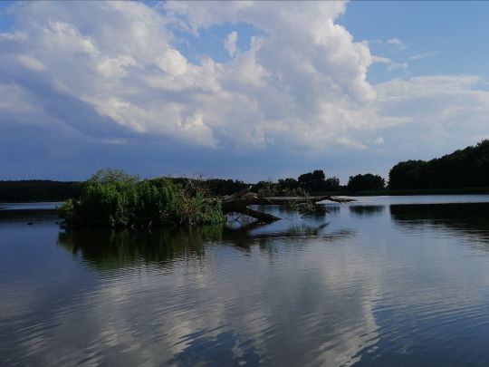Kölpinsee (Usedom)-3