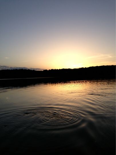 Kölpinsee (Usedom) angeln