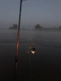 Rhein (Biebesheim/Gernsheim)