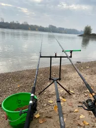 Rhein (Biebesheim/Gernsheim)-2