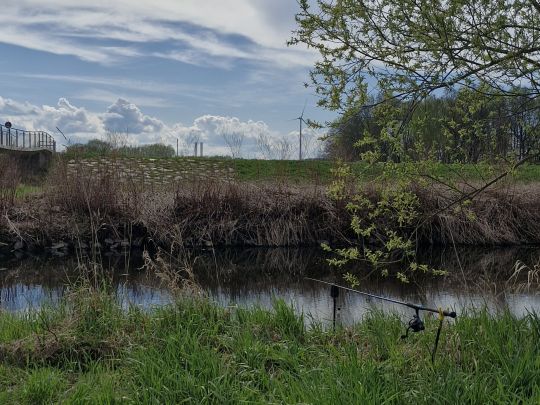 Zwickauer Mulde (Glauchau)-3
