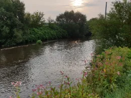 Zwickauer Mulde (Glauchau)-1