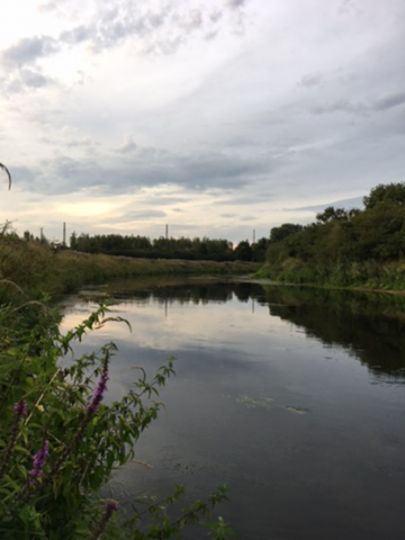 Lippe (Haltern am See)-4