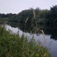 Lippe (Haltern am See)-3