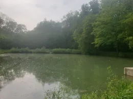 Klosterteiche Anrode-1