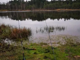 Kammerweiher (Roding)-3