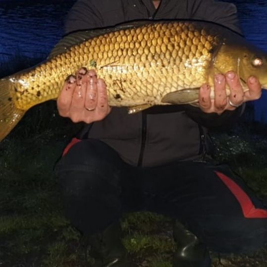 Kammerweiher (Roding)-2