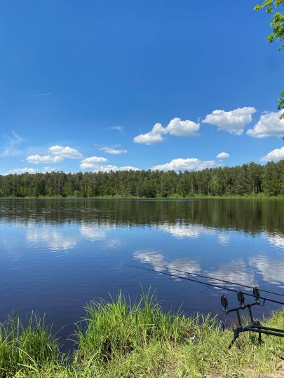 Kammerweiher (Roding)-1