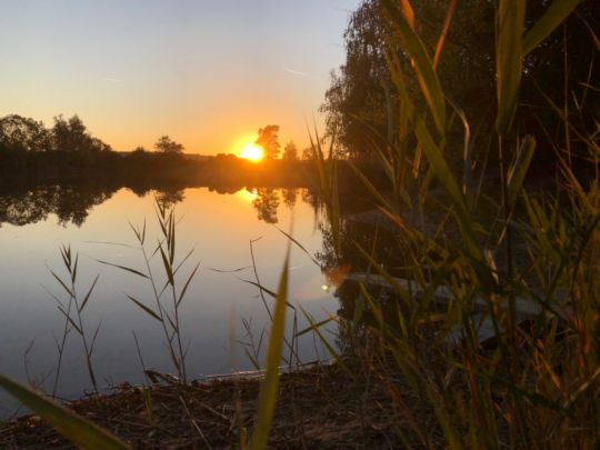 Vereinssee ESV Worms-2