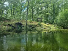 Rosensee (Auerbach)-1