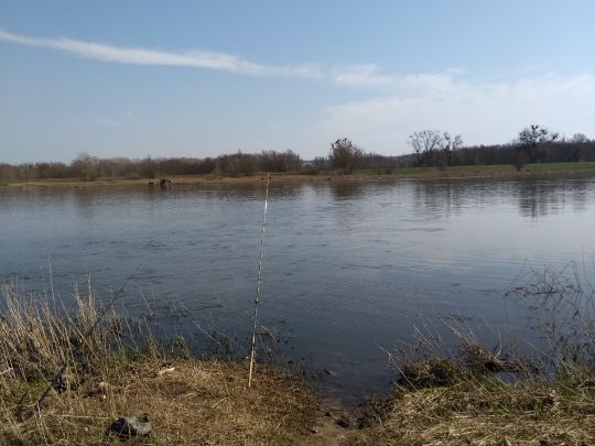 Oder (Hohensaaten)-4