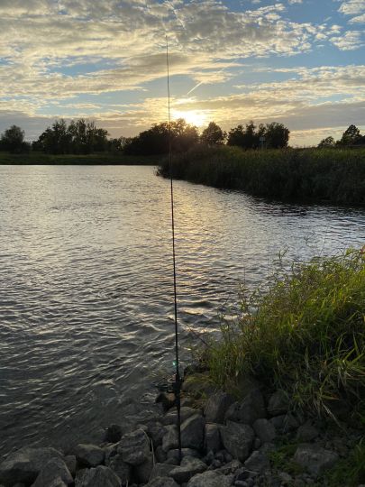 Oder (Hohensaaten)-3