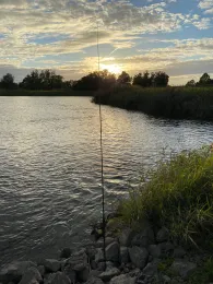 Oder (Hohensaaten)-3