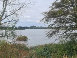 Mellnitz-Üselitzer Wiek