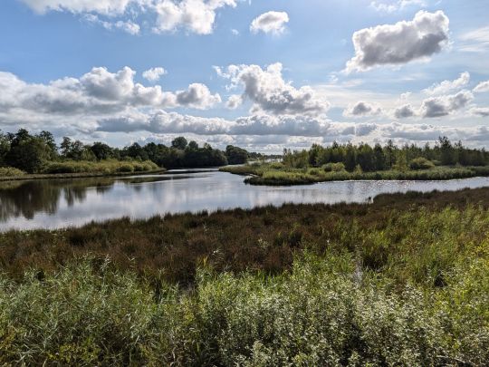 Sandwater (Simonswolde)-3