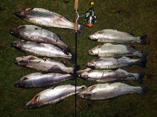 Angleridylle Breckerfeld-1