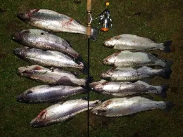 Angleridylle Breckerfeld-1