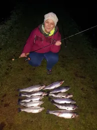 Angleridylle Breckerfeld