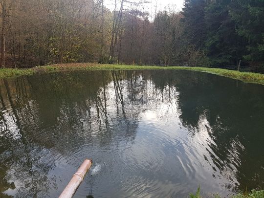 Angleridylle Breckerfeld-4