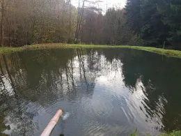 Angleridylle Breckerfeld-4