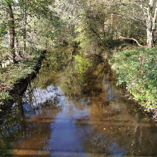 Wehrau (Osterrönfeld)