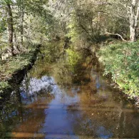 Wehrau (Osterrönfeld)