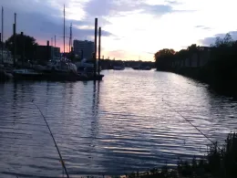 Elbe (Hamburg-Finkenwerder)-3