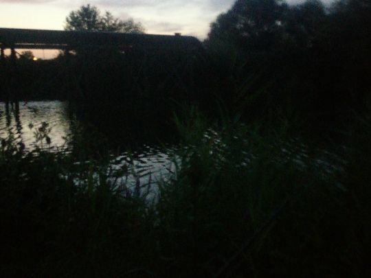 Elbe (Hamburg-Finkenwerder)-4