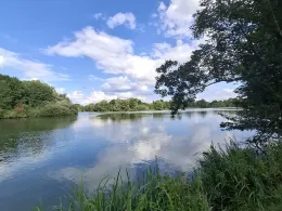 Krimpelsee (Bremen)-1