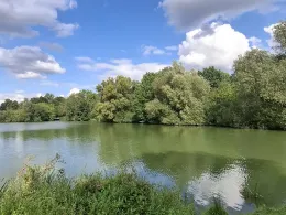 Krimpelsee (Bremen)-3