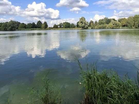 Krimpelsee (Bremen)-2