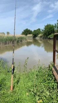 Wischhafener Süderelbe