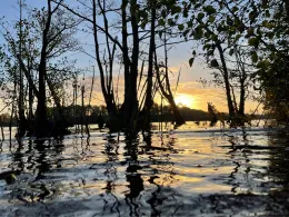 Neumühler See (Schwerin)-2