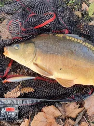 Amtsfreiheit Teich-1