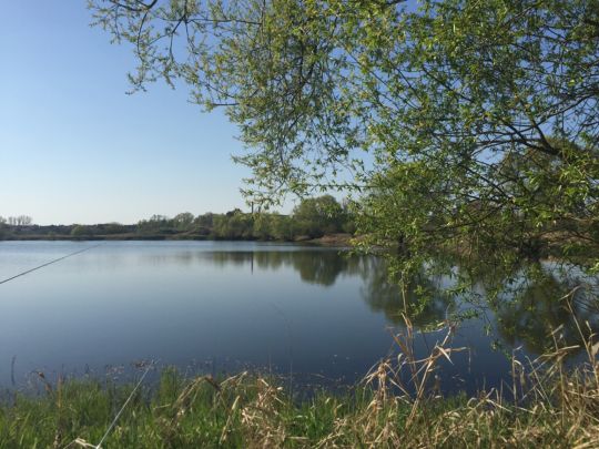 Neues Kiesloch (Tangermünde)-3