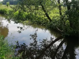 Strohkirchener Bach-2