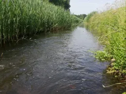 Strohkirchener Bach-3