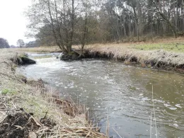 Strohkirchener Bach-1