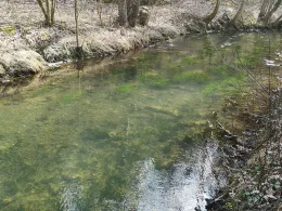 Püttlach (Pottenstein)-3