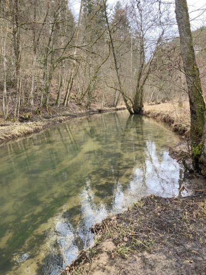 Püttlach (Pottenstein)-4