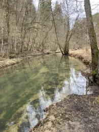 Püttlach (Pottenstein)-4