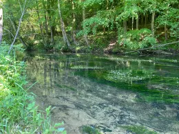 Püttlach (Pottenstein)-3