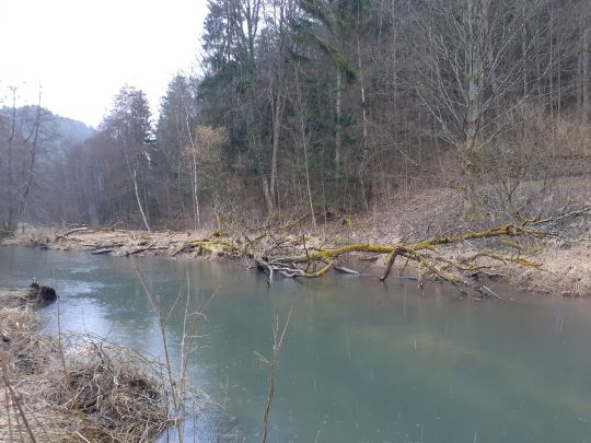 Angeln in Egloffstein