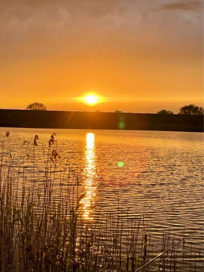 Fichtenwiehl (Tangermünde)-4