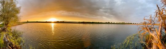 Fichtenwiehl (Tangermünde)-3