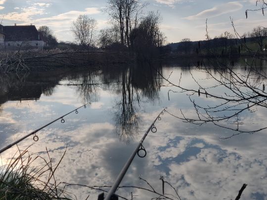 Klosterweiher (Scheyern)-3